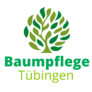 Baumpflege Tübingen