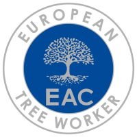 European tree worker in Tübingen